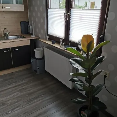 Apartment Albrecht